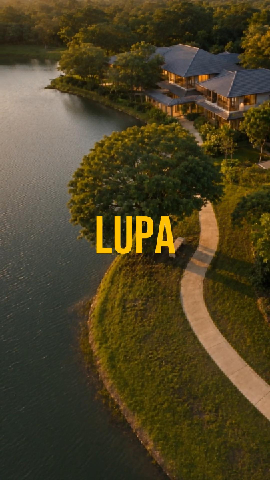 Lupa